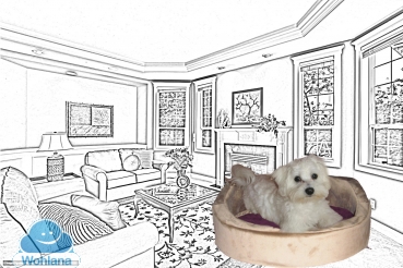 Hundebett, Hundekorb, Alles für den Hund, Hundebett Aschaffenburg, Exklusive Hundebetten